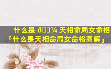 什么是 🌼 天相命局女命格「什么是天相命局女命格图解」